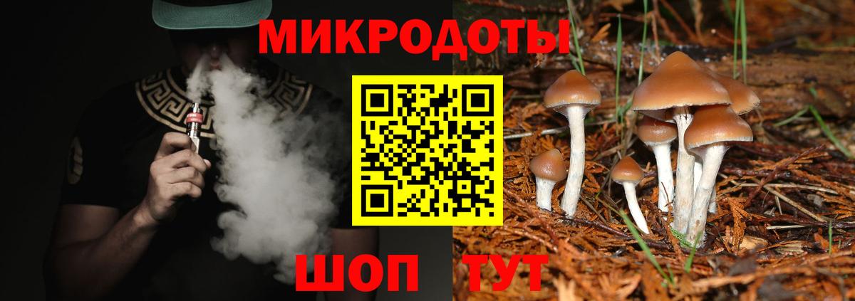 Уссурийск  Галлюциногенные грибы мухоморы  Псилоцибиновые грибы Psilocybe  Вход с VPN 